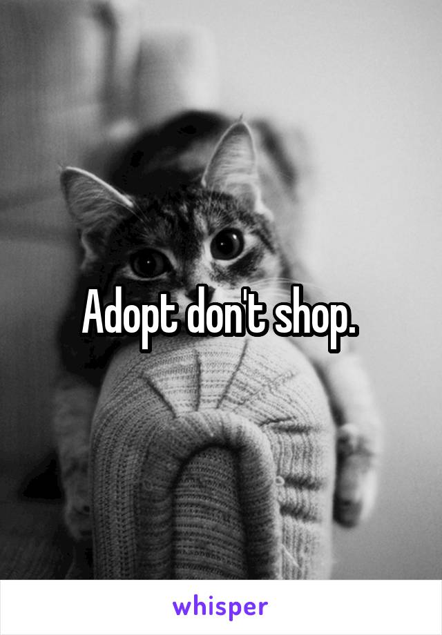 Adopt don't shop. 