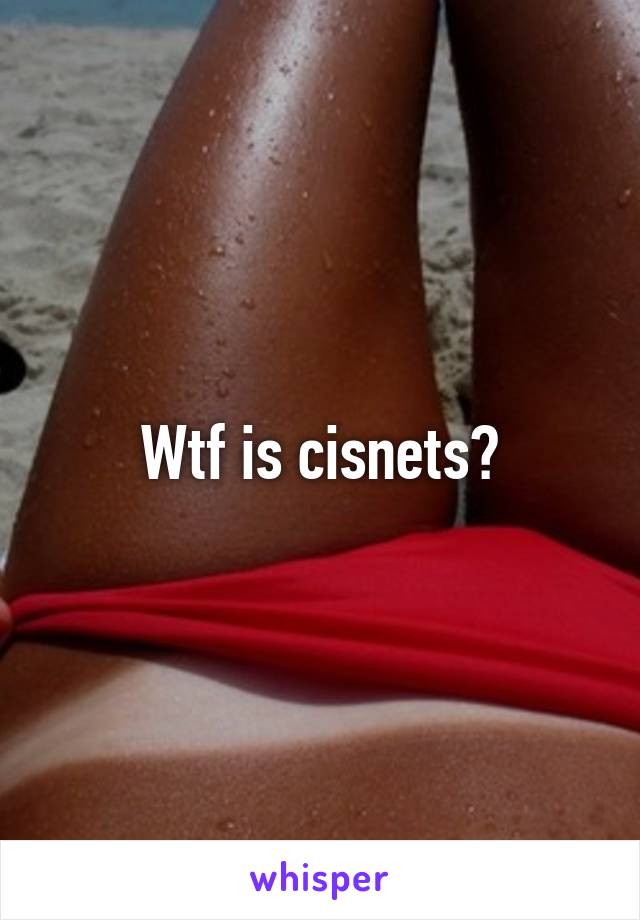 Wtf is cisnets?
