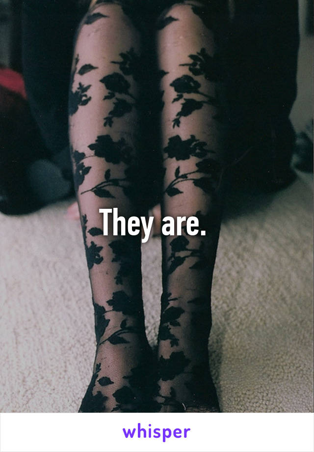 They are. 