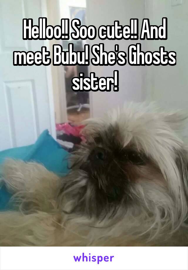 Helloo!! Soo cute!! And meet Bubu! She's Ghosts sister!





