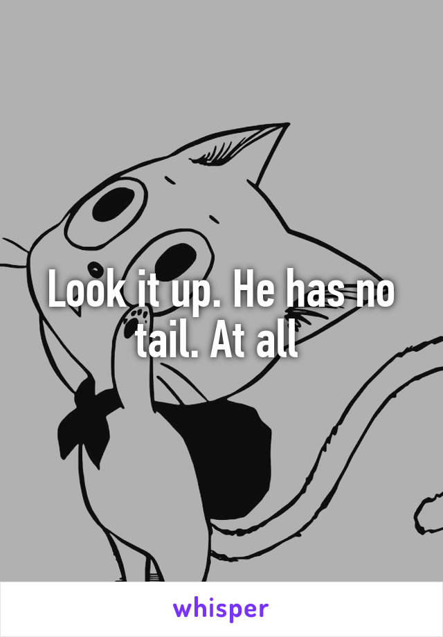 Look it up. He has no tail. At all 