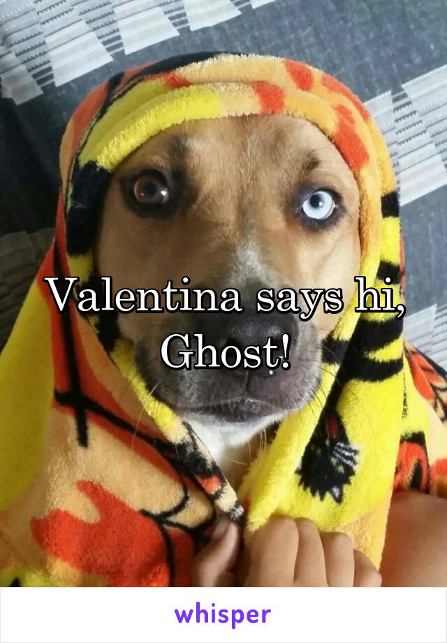 Valentina says hi, Ghost!