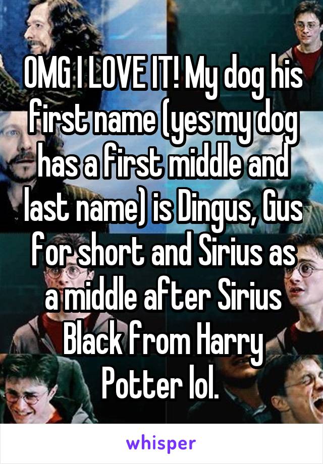 OMG I LOVE IT! My dog his first name (yes my dog has a first middle and last name) is Dingus, Gus for short and Sirius as a middle after Sirius Black from Harry Potter lol. 