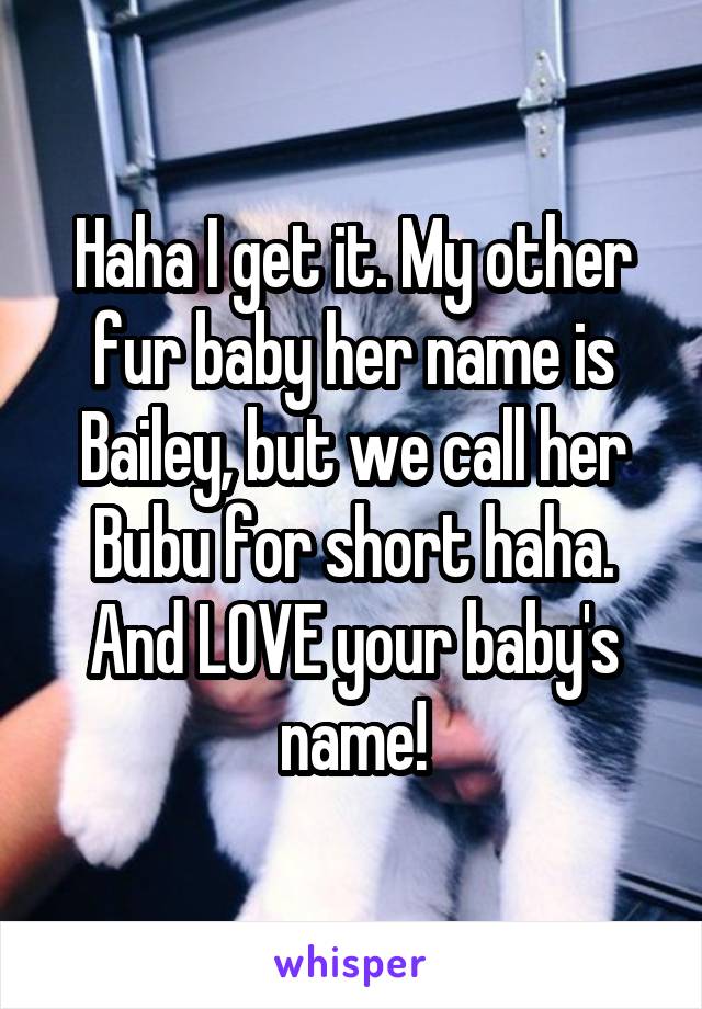 Haha I get it. My other fur baby her name is Bailey, but we call her Bubu for short haha. And LOVE your baby's name!