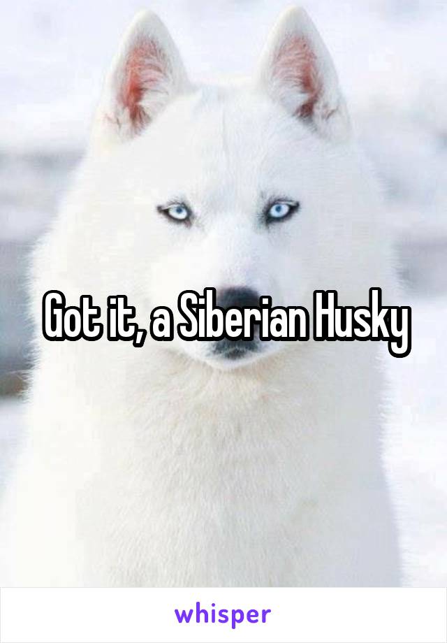Got it, a Siberian Husky
