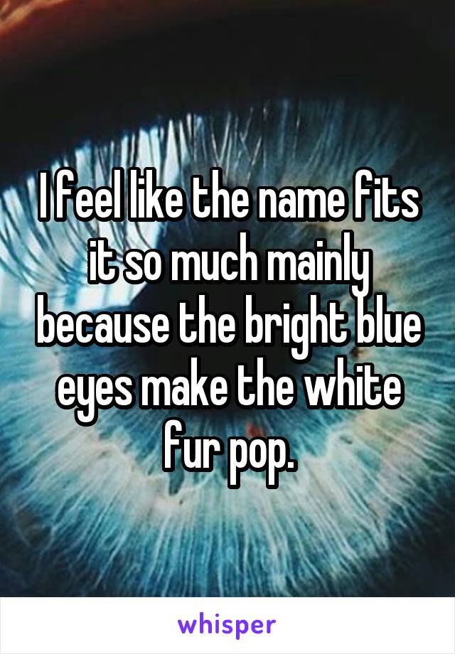 I feel like the name fits it so much mainly because the bright blue eyes make the white fur pop.