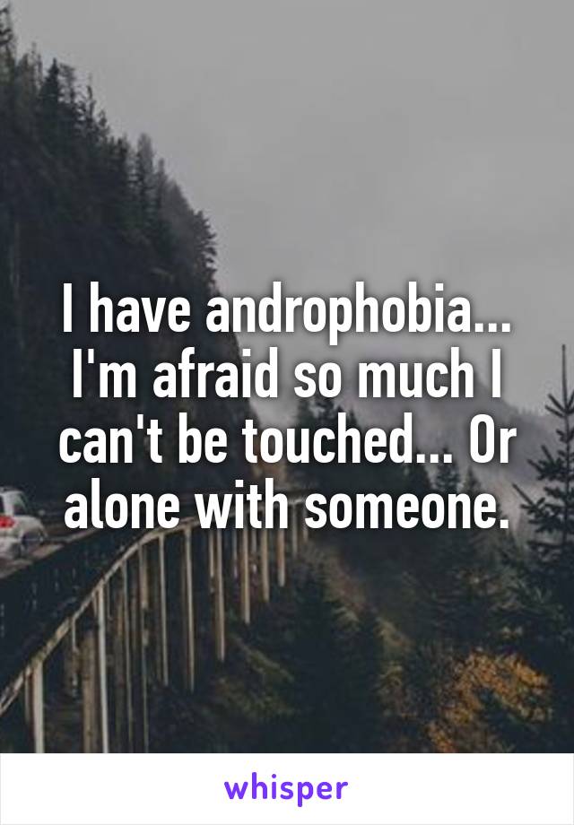 I have androphobia... I'm afraid so much I can't be touched... Or alone with someone.