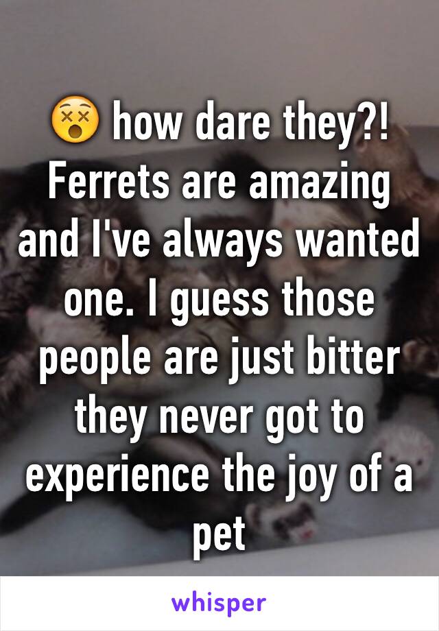 😵 how dare they?! Ferrets are amazing and I've always wanted one. I guess those people are just bitter they never got to experience the joy of a pet