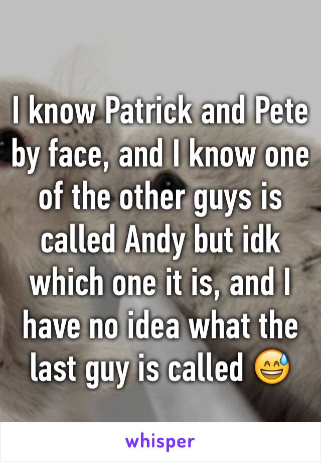 I know Patrick and Pete by face, and I know one of the other guys is called Andy but idk which one it is, and I have no idea what the last guy is called 😅