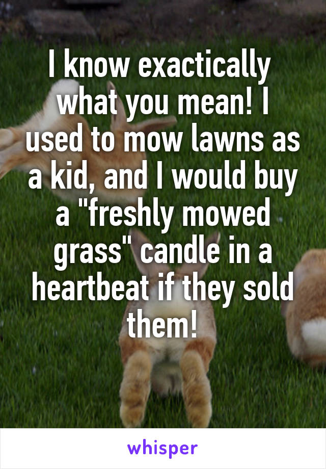 I know exactically 
what you mean! I used to mow lawns as a kid, and I would buy a "freshly mowed grass" candle in a heartbeat if they sold them!


