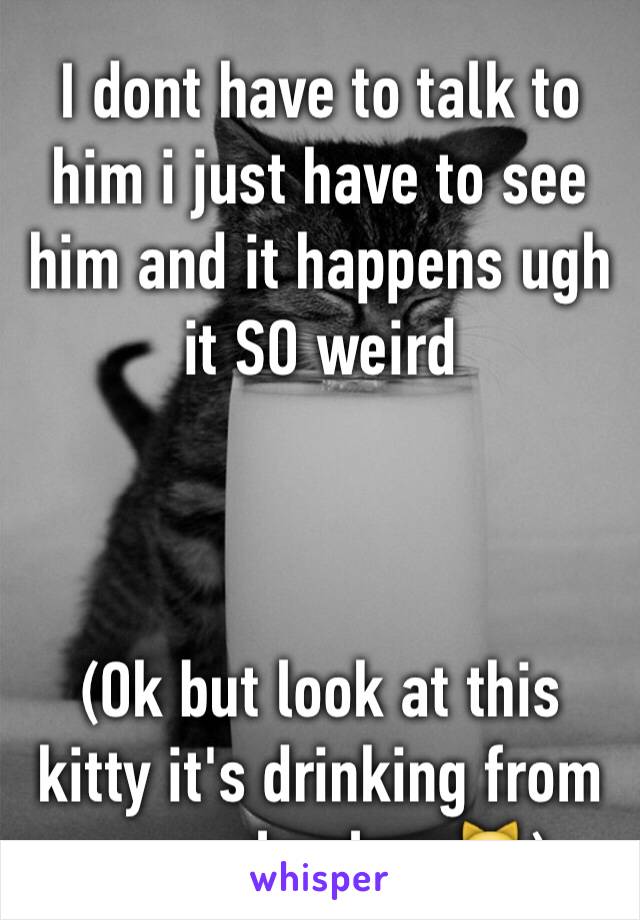 I dont have to talk to him i just have to see him and it happens ugh it SO weird



(Ok but look at this kitty it's drinking from a people glass😻)