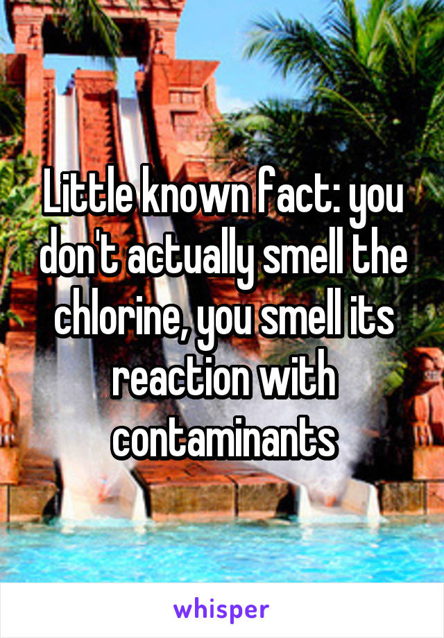 Little known fact: you don't actually smell the chlorine, you smell its reaction with contaminants