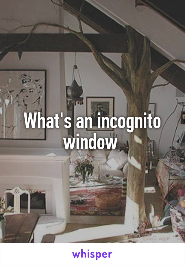 What's an incognito window 