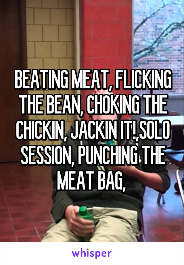 BEATING MEAT, FLICKING THE BEAN, CHOKING THE CHICKIN, JACKIN IT!,SOLO SESSION, PUNCHING THE MEAT BAG, 