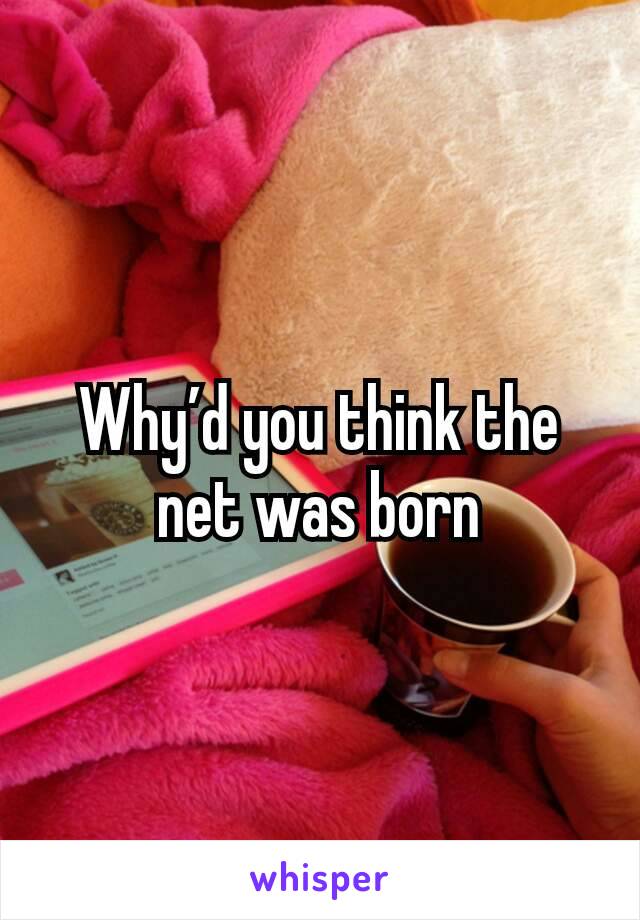 Why’d you think the net was born