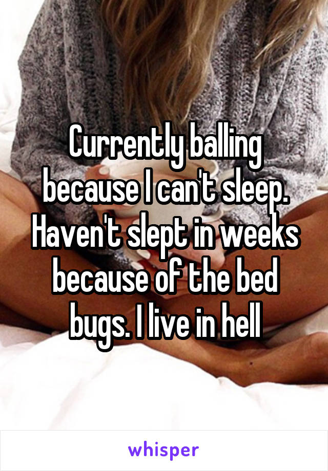 Currently balling because I can't sleep. Haven't slept in weeks because of the bed bugs. I live in hell
