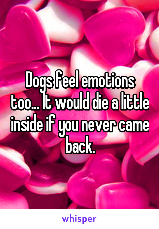 Dogs feel emotions too... It would die a little inside if you never came back.
