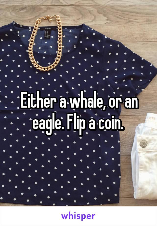 Either a whale, or an eagle. Flip a coin. 