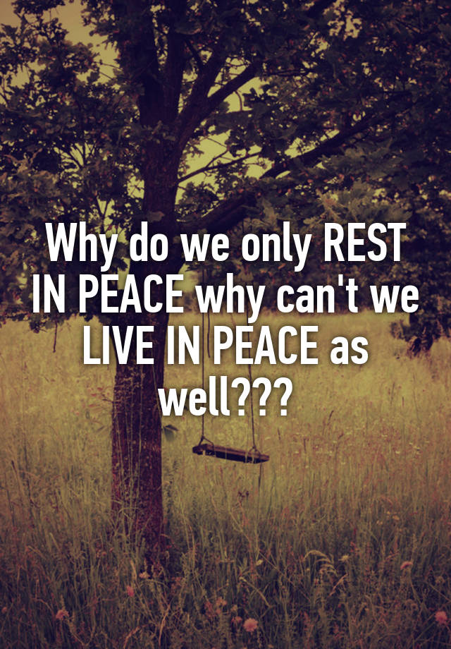 Why Can T We Live In Peace Quotes