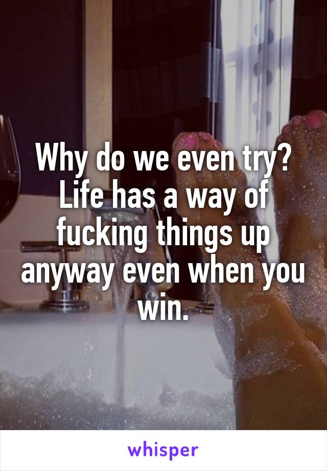 Why do we even try? Life has a way of fucking things up anyway even when you win.