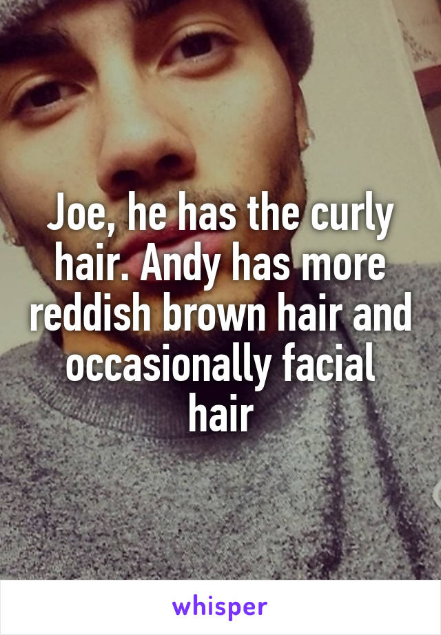 Joe, he has the curly hair. Andy has more reddish brown hair and occasionally facial hair