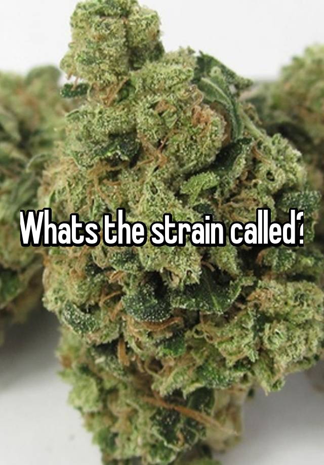 Whats the strain called?