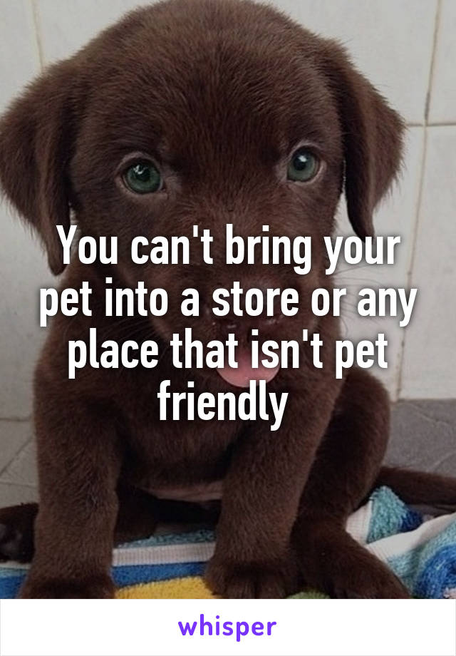 You can't bring your pet into a store or any place that isn't pet friendly 