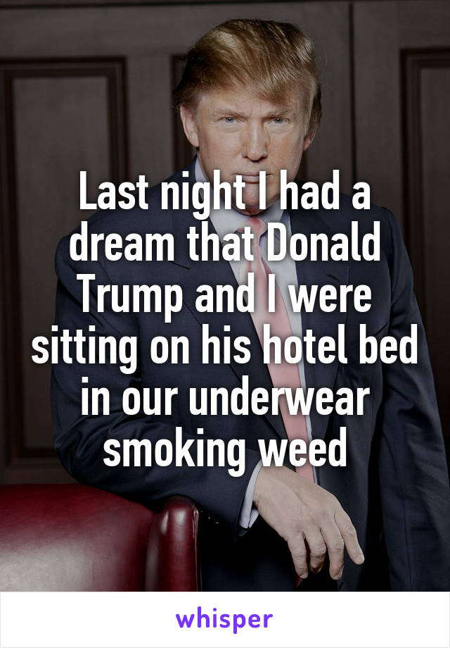 Last night I had a dream that Donald Trump and I were sitting on his hotel bed in our underwear smoking weed