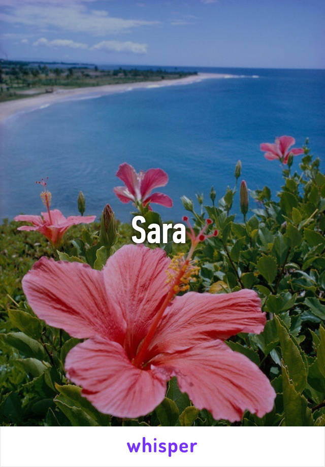 Sara 