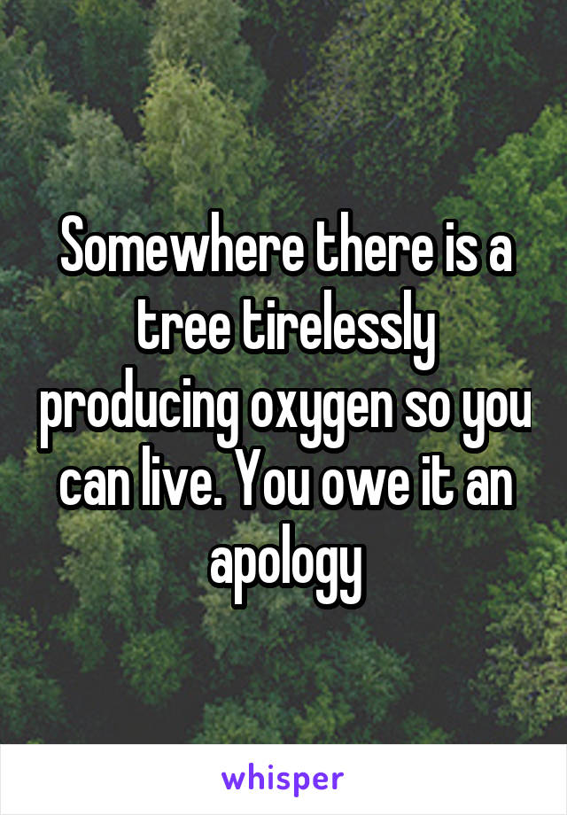 Somewhere there is a tree tirelessly producing oxygen so you can live. You owe it an apology