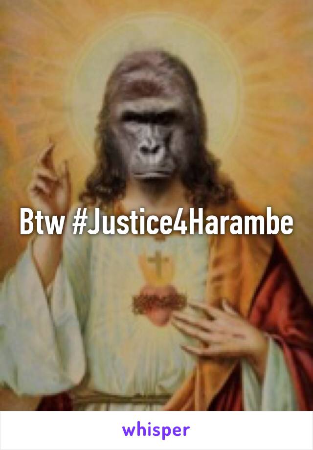 Btw #Justice4Harambe