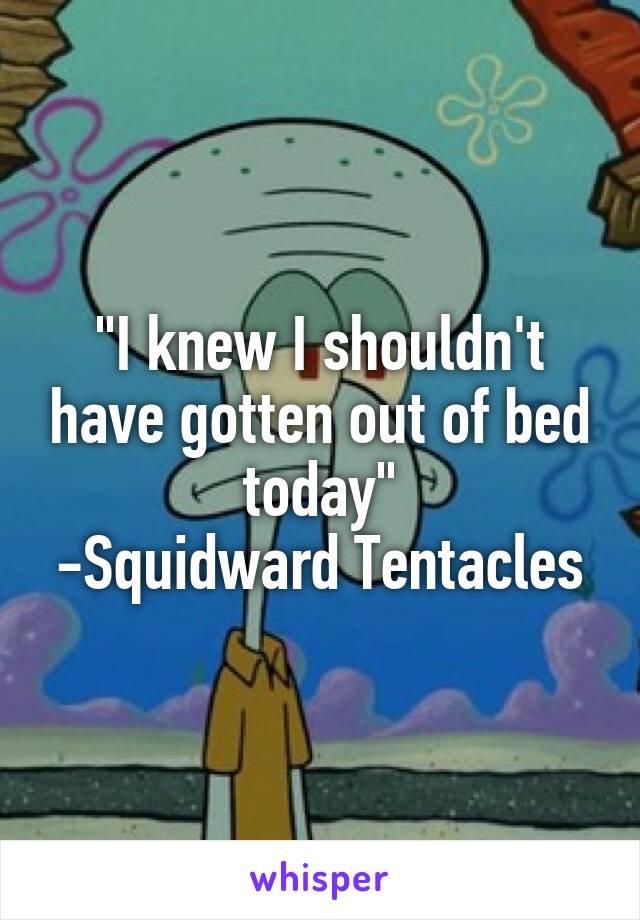 "I knew I shouldn't have gotten out of bed today"
-Squidward Tentacles