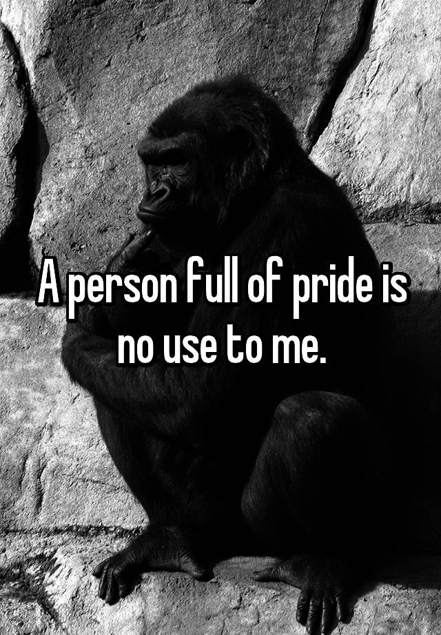 a-person-full-of-pride-is-no-use-to-me