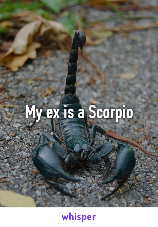 My ex is a Scorpio