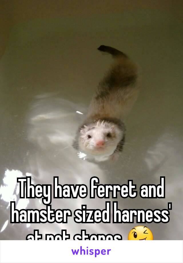 They have ferret and hamster sized harness' at pet stores 😉