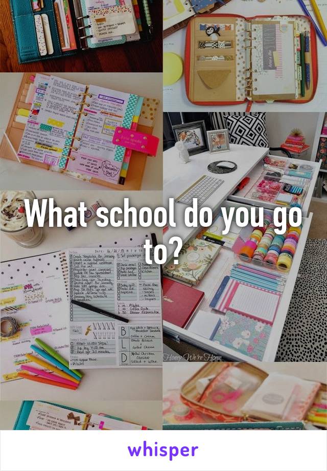 What school do you go to?