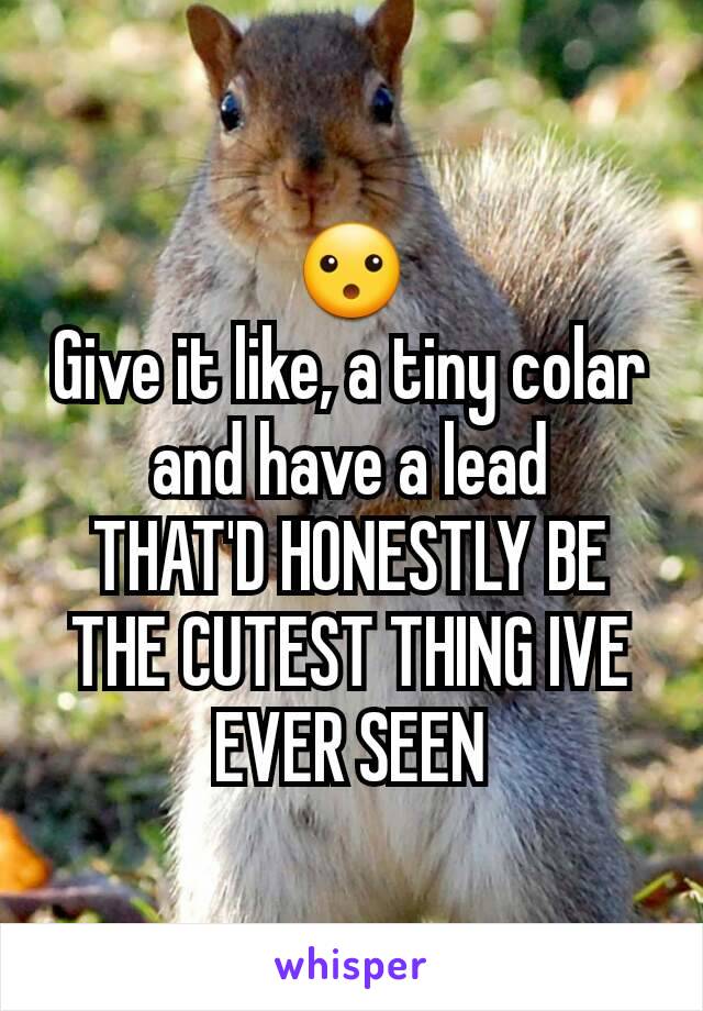 😮
Give it like, a tiny colar and have a lead
THAT'D HONESTLY BE THE CUTEST THING IVE EVER SEEN