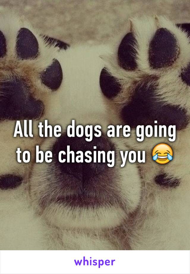 All the dogs are going to be chasing you 😂