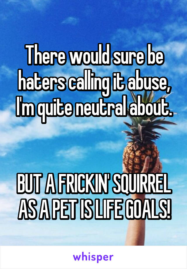 There would sure be haters calling it abuse, I'm quite neutral about.


BUT A FRICKIN' SQUIRREL AS A PET IS LIFE GOALS!