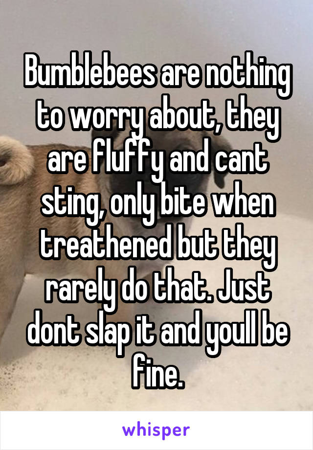 Bumblebees are nothing to worry about, they are fluffy and cant sting, only bite when treathened but they rarely do that. Just dont slap it and youll be fine.