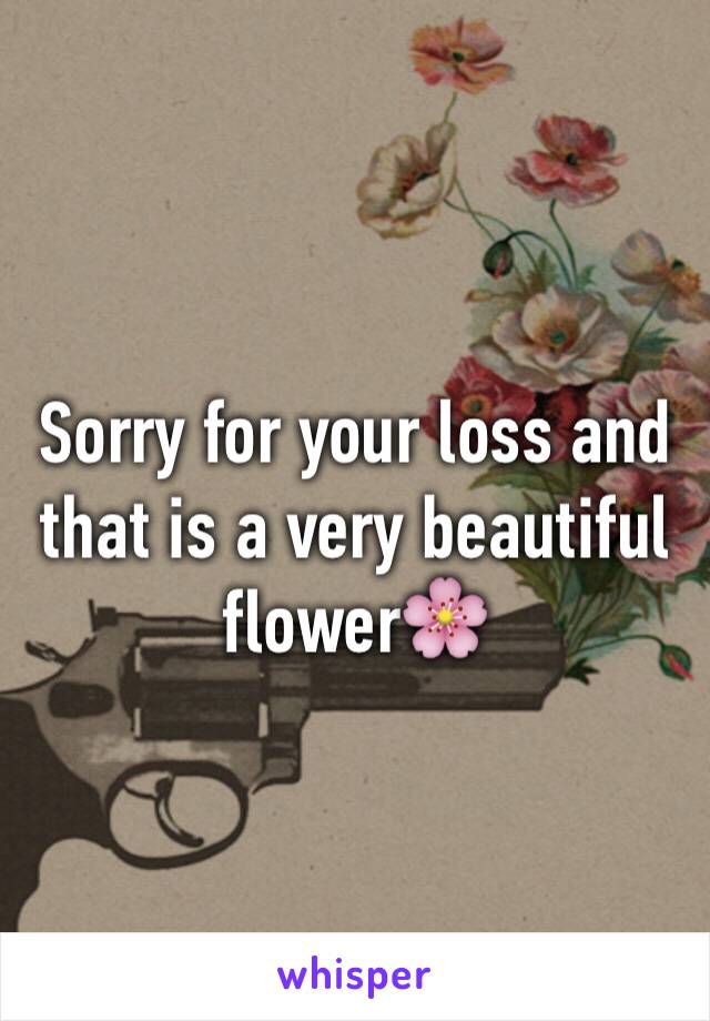 Sorry for your loss and that is a very beautiful flower🌸