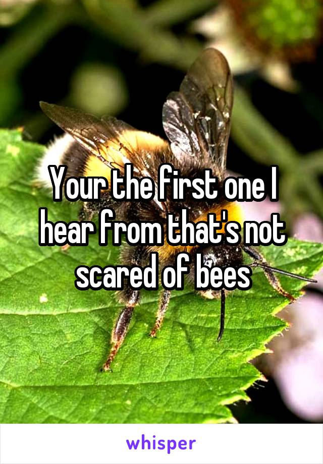 Your the first one I hear from that's not scared of bees