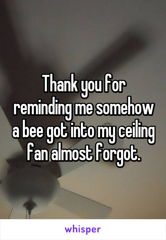 Thank you for reminding me somehow a bee got into my ceiling fan almost forgot.