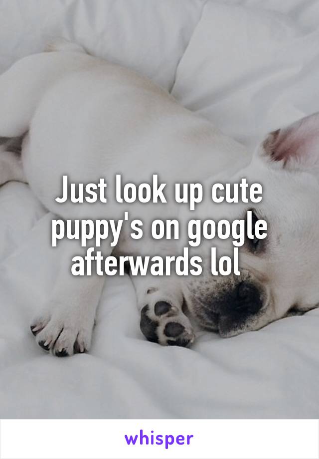 Just look up cute puppy's on google afterwards lol 
