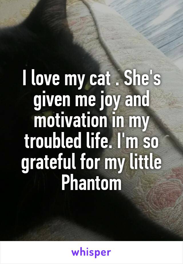 I love my cat . She's given me joy and motivation in my troubled life. I'm so grateful for my little Phantom