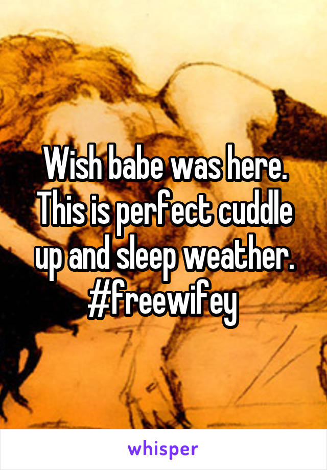 Wish babe was here. This is perfect cuddle up and sleep weather.
#freewifey 