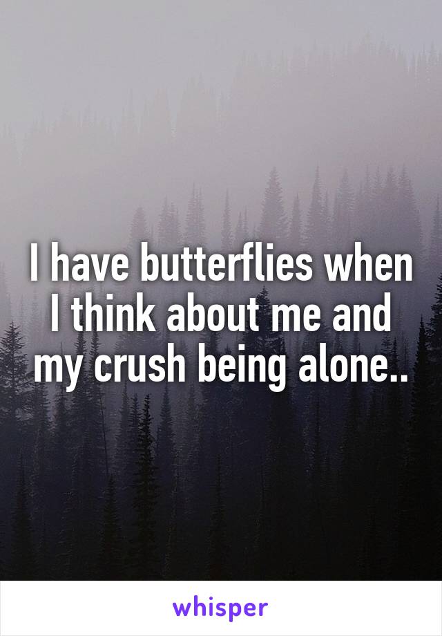 I have butterflies when I think about me and my crush being alone..