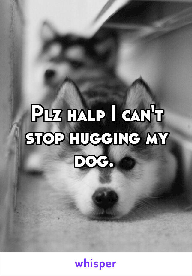 Plz halp I can't stop hugging my dog. 