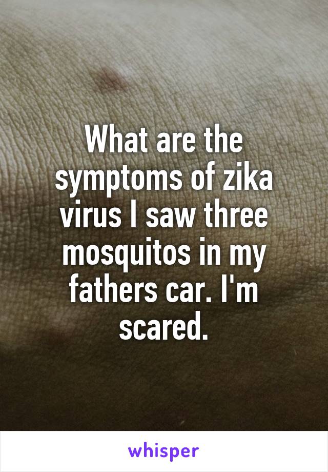 What are the symptoms of zika virus I saw three mosquitos in my fathers car. I'm scared.