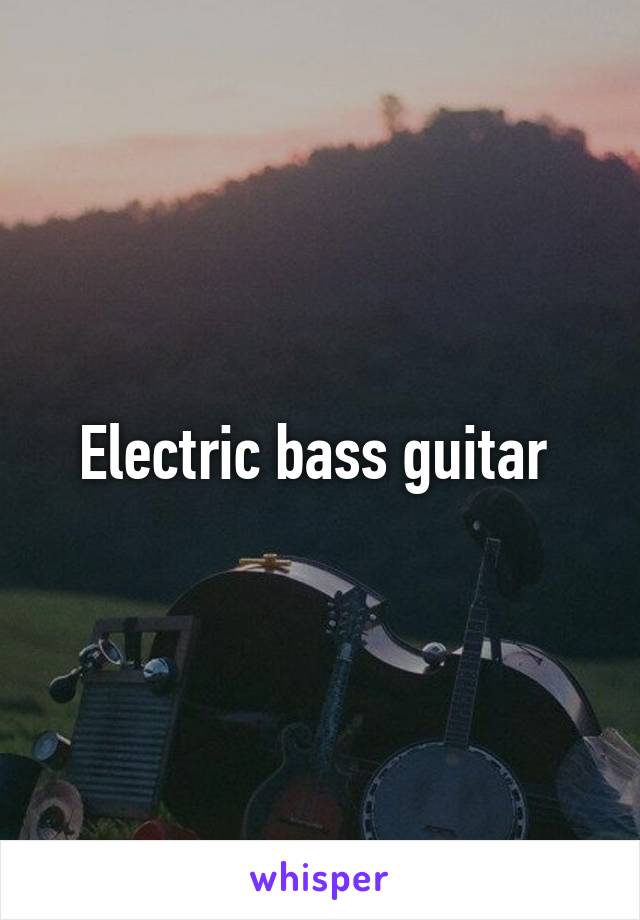 Electric bass guitar 